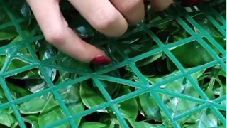 نصب دیوار سبز بدون نیاز به نصاب