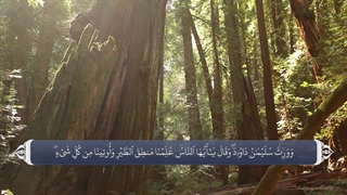 27_سوره نمل_ترجمه گویا