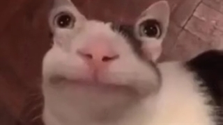 این خونرو کی ساخته؟