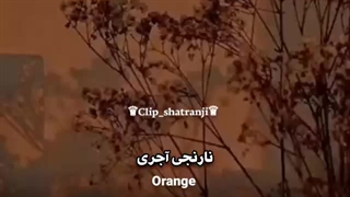 رنگهای اصیل ایرانی