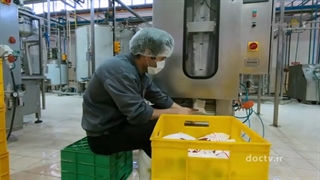 مستند کارستان - قسمت 4