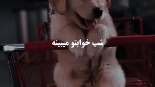 شاید یکی باید اینارو ازم بشنوه