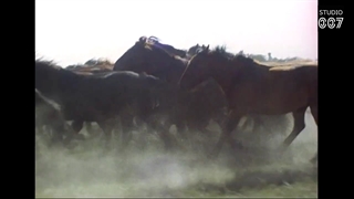 مستند جاده ابریشم با کیفیت بالا قسمت ۲