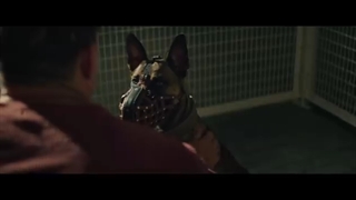 DOG | Official Trailer