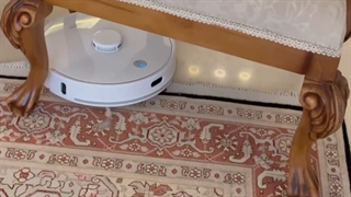 جاروکشی ربات سگوبو مدل  L2550