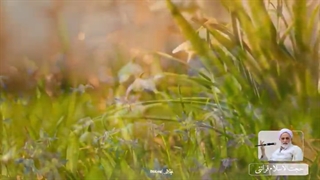 اندازه گیری رزق حلال چگونه است؟