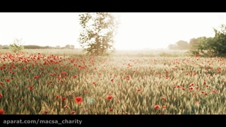 تا شقایق هست زندگی باید کرد