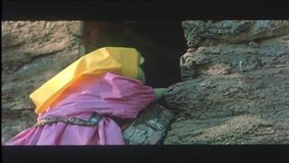 رخشاره (فیلم) گلنار