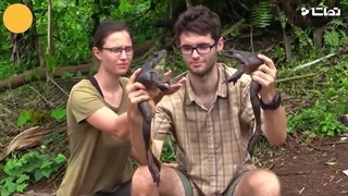 بزرگترین حیوان روی زمین و چگونگی پیدایش آنها!