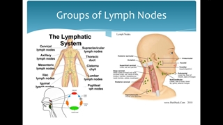 اطفال دکتر حقیقی Lymphadenopathy بلیچینگ