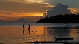 موسیقی برای ارامش ( طبیعت )