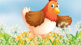 داستان مرغ پرقرمزی