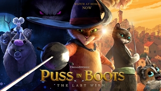 انیمیشن گربه چکمه پوش 2 آخرین آرزو با دوبله فارسی/ Puss in Boots: The Last Wish 2022