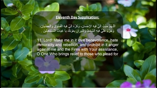 Daily Prayers During Ramadan Day (11) | دعای مخصوص ماه رمضان روز (11)