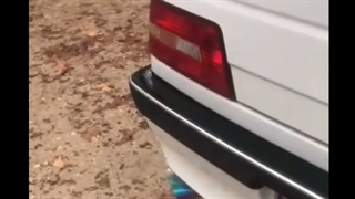 منبع اگزوز 811 (فروشگاه کینگ اسپرت)