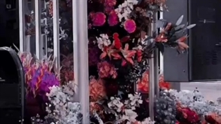 میشه نری 《вℓα¢к ριηк❦》خواهشش میکنم نروو