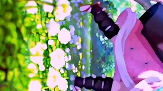 زنیستو و نزوکو