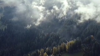 امام زمان(عج)،امام مهدی، ترک گناه=دعا برای ظهور،مذهبی،آخرالزمان نشر آزاد