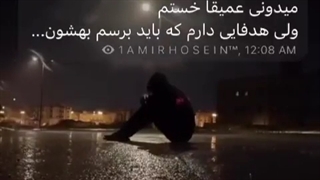 عمیقا خستم!‌ولی هدفایی دارم‌که‌باید‌بهشون‌برسم