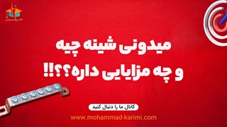 میدونین شینه چیه و چه مزایایی داره؟
