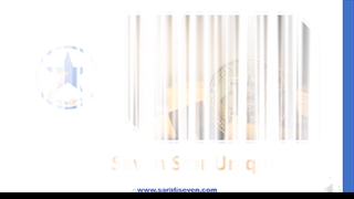 Seven Star International Exchange