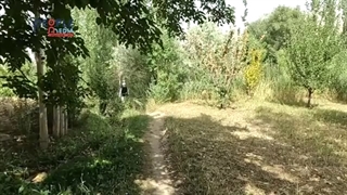 سریال عروس فراری قسمت یازدهم (فرار رستم و فیروزه) | Serial Aros Farari Part 11