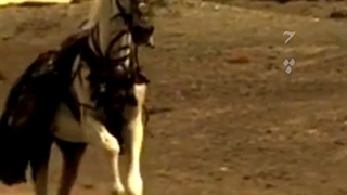 امام خامنه‌ای: کار را به لحظه و به هنگام باید انجام داد؛ نباید غفلت کنیم