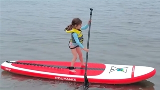 فروش پدل برد های پویانیز (POUYANIZ)