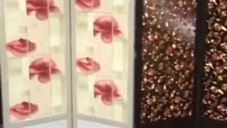 پاراوان چوبی