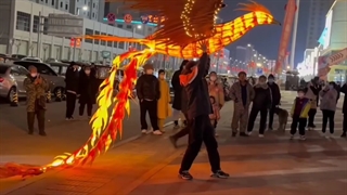 پرواز ققنوس !