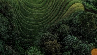 کسب درآمد میلیونی با برنامه کارنت نصب از بازار