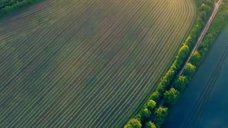 امام زمان(عج)،امام مهدی، ترک گناه=دعا برای ظهور،مذهبی،آخرالزمان نشر آزاد