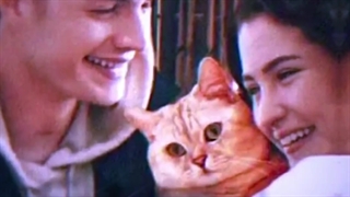 میکس عاشقانه برک وایبیکه خواهروبرادرانم