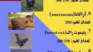 هر نژاد در سال چه تعداد تخم می گذارد؟؟؟