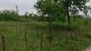 رضایت مشتری محترم از مجموعه فیدار