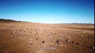 همکاری چین با جهان در مبارزه با همه گیری