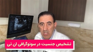 ❓آیا جنسیت جنین در سونوگرافی NT مشخص میشه؟