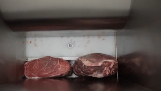 دستگاه دایسر و اسلایسر برند هولاک (Holac) ساخت کشور آلمان