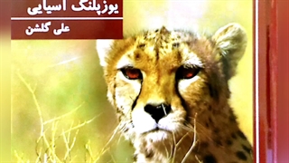 کتاب داستان