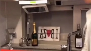 هنری در قرنطینه 3