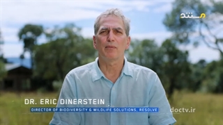 دنیای فناوری | عصر هوش مصنوعی - 5