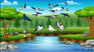 آموزش رفتار صحیح با حیوانات به کودکان