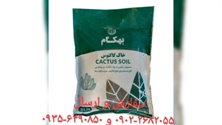 فروش خرید ارسال تعویض بهترین خاک گل آپارتمان برگ بنفشه آفریقایی کاکتوس ورمی کمپوست پیت ماس پیتماس بونسای بنسای کوکوپیت در سیرجان
