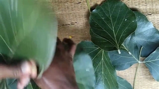 ساخت گل با ظروف یکبارمصرف