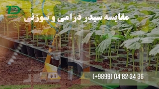 درام و سوزن-مقایسه بذرکار گلخانه از نوع درامی (روتاری) و سوزنی