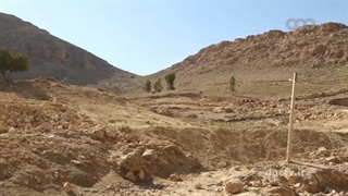 مستند | «بلوطک»