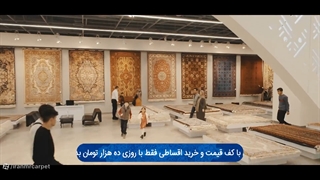 یخ قیمت ها آب شد!!!