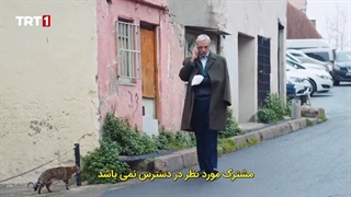 بن بست دنیا