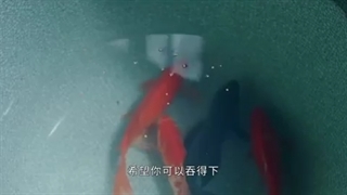 wonderful hand) 2023 قسمت دهم با زیرنویس فارسی لینک دانلود پایین