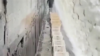 ماهی گیری کاملا اتوماتیک